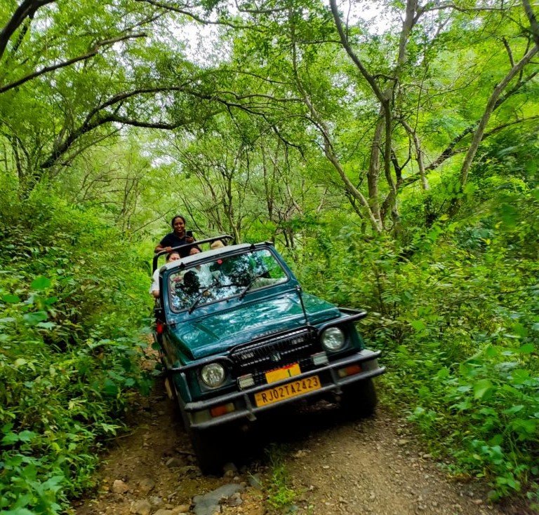 Sariska jeep safari